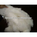 dehaired lana wool